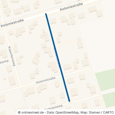 Wiesenstraße Saterland Sedelsberg-Kolonie 