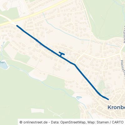 Königsteiner Straße Kronberg im Taunus Kronberg 