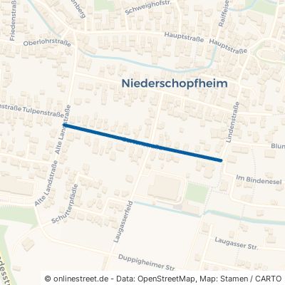 Gartenstraße Hohberg Niederschopfheim 