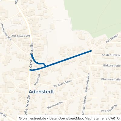 Lindenstraße Ilsede Adenstedt 