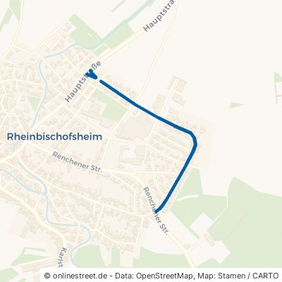 Lichtenberger Straße 77866 Rheinau Rheinbischofsheim 