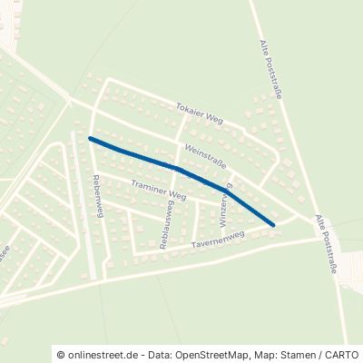 Rieslingweg Neuhausen Bräsinchen 