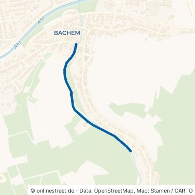 Steinkauler Straße Bad Neuenahr-Ahrweiler Bachem 