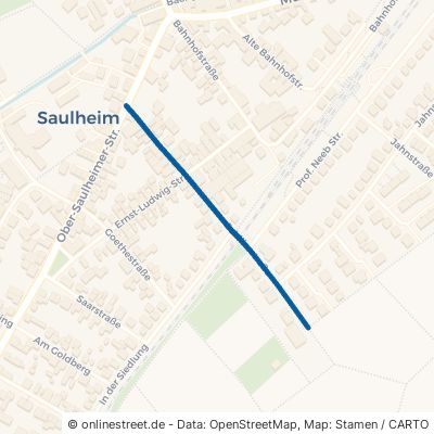 Schillerstraße 55291 Saulheim Nieder-Saulheim 