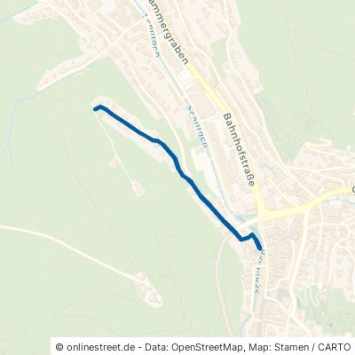 Burgweg Schramberg 