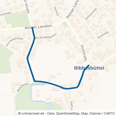 Gutsstraße Ribbesbüttel 