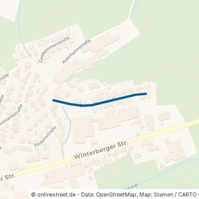 Schwalbenstraße 57368 Lennestadt Saalhausen 