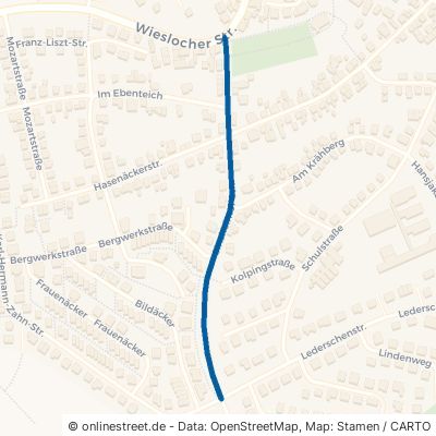Sinsheimer Straße Wiesloch Baiertal 