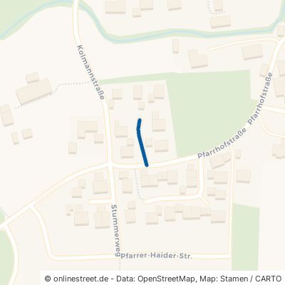 Bürgermeister-Lackmaier-Straße 83530 Schnaitsee Waldhausen 