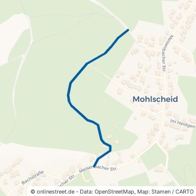Im Laubwald Neunkirchen-Seelscheid Mohlscheid 