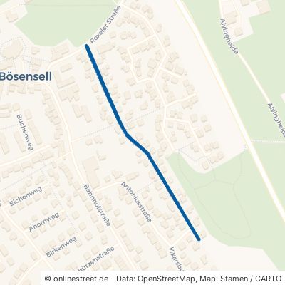 Johannisstraße Senden Bösensell 