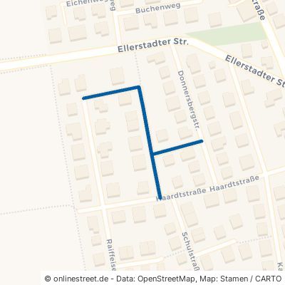 Johann-Merk-Straße Fußgönheim 
