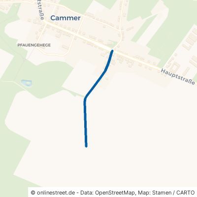 Schulstraße Planebruch Cammer 