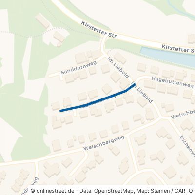 Schlehenweg Obrigheim 