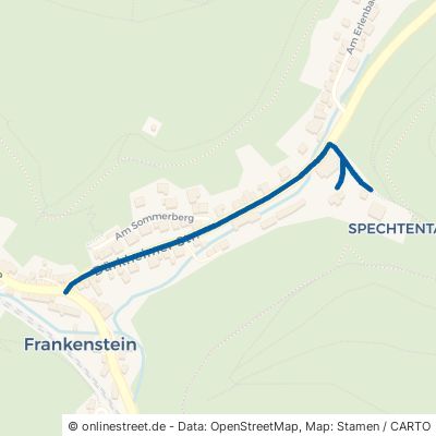 Dürkheimer Straße Frankenstein 