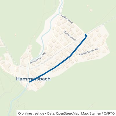 Kreuzeckweg Grainau Hammersbach 