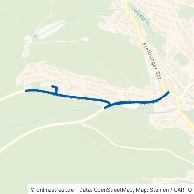 Grabenstraße 79853 Lenzkirch Schlicht 