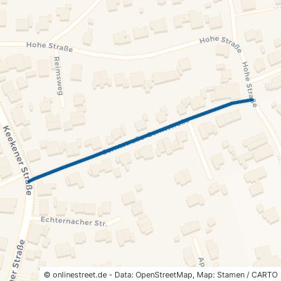 Serntstraße 47533 Kleve Rindern Rindern