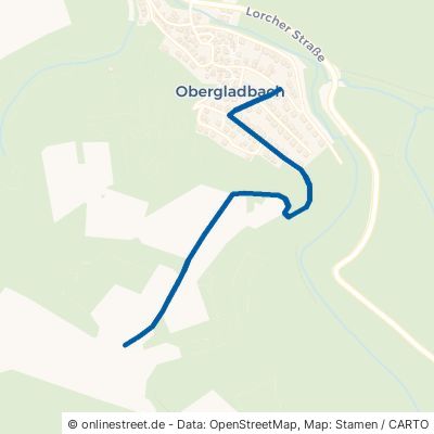 Am Schneeberg Schlangenbad Obergladbach 