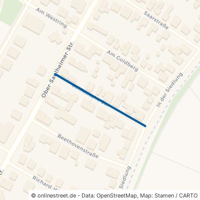 Schlesische Straße 55291 Saulheim Nieder-Saulheim 