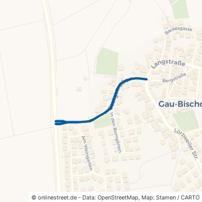 Steigstraße Gau-Bischofsheim 