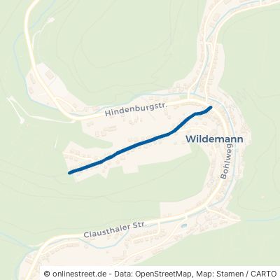 Seesener Straße Clausthal-Zellerfeld Wildemann 