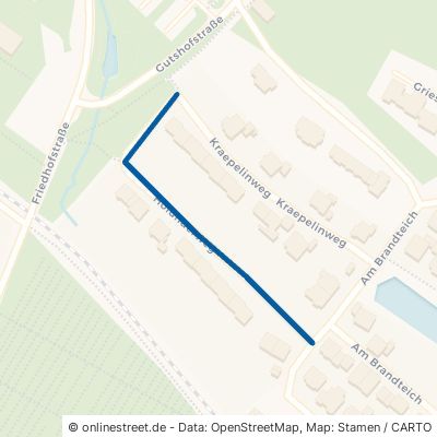 Holunderweg Lengerich 