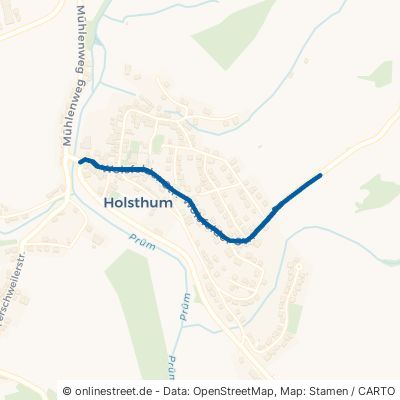 Wolsfelder Straße Holsthum 