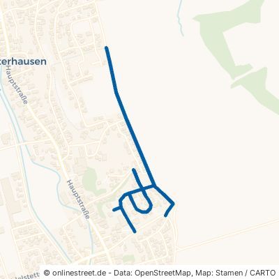 Baumgärtlessiedlung Münsterhausen 