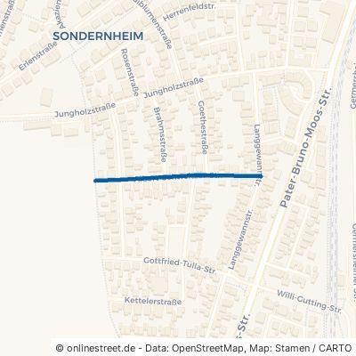 Albert-Schweitzer-Straße Germersheim Sondernheim 