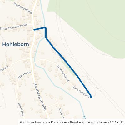 Hundsrück Floh-Seligenthal Hohleborn 