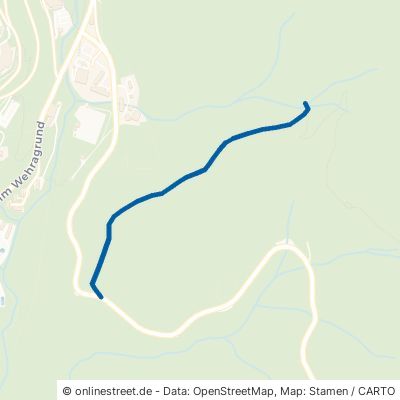 Mättlewaldweg Todtmoos 