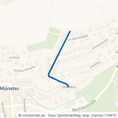 Langhecker Weg Selters (Taunus) Münster 