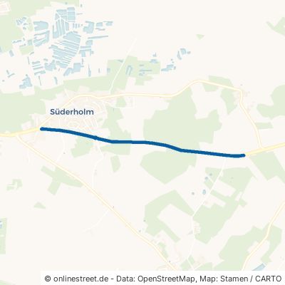 Rendsburger Straße Heide Süderholm 