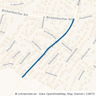 Zwingenberger Straße Seeheim-Jugenheim Jugenheim 