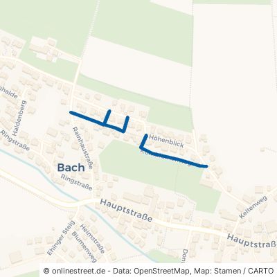 Kornblumenweg Erbach Bach 