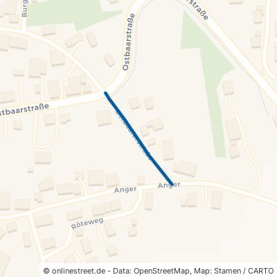 Ostbaarerstraße 78166 Donaueschingen Aasen 