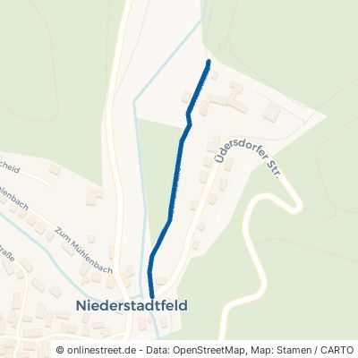 Schulstraße Niederstadtfeld 