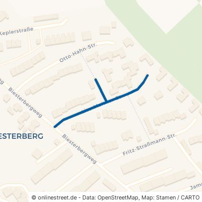 Lise-Meitner-Straße Lemgo 