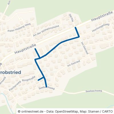Grüntenweg Dietmannsried Probstried 