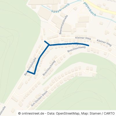 Oberer Kleiner Weg Lambrecht (Pfalz) 