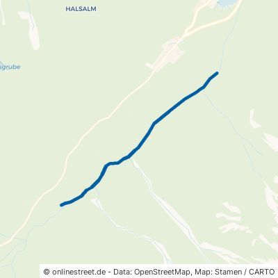 Fussweg Auf Damm Ramsau bei Berchtesgaden Ramsau 