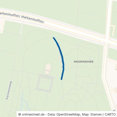 Buxusgang Hannover Herrenhausen 