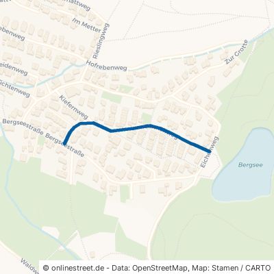 Tannenweg Sinzheim Ortsgebiet 