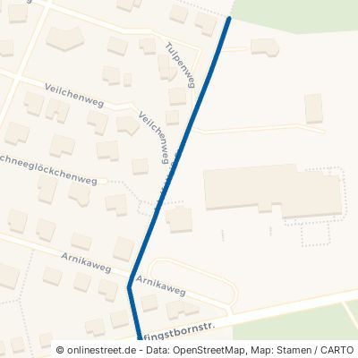 Adolf-Weiß-Straße 35794 Mengerskirchen Waldernbach 