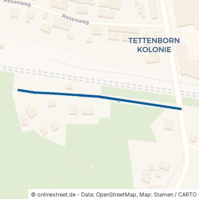 Römersteinweg Bad Sachsa Tettenborn-Kolonie 
