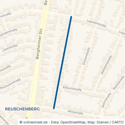 Weinstockstraße Neuss Reuschenberg 