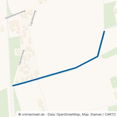 Holderstrauchweg Goldenstedt Ellenstedt 