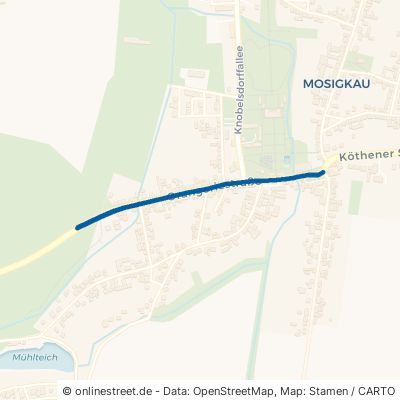 Orangeriestraße Dessau-Roßlau Mosigkau 