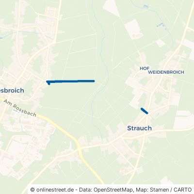 Breufeldstraße ? 52152 Simmerath Strauch 